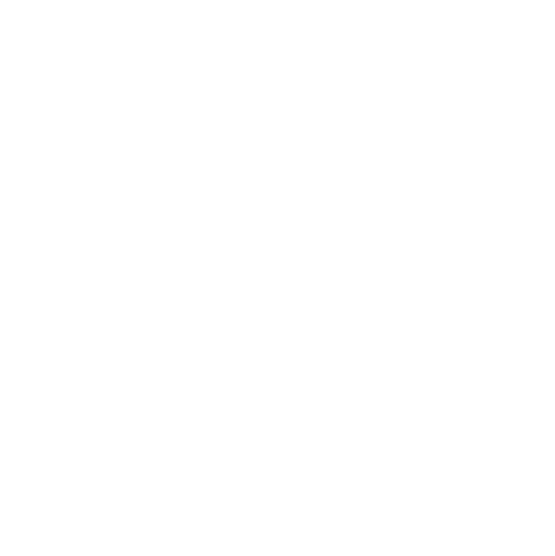 WiShip Express Logo